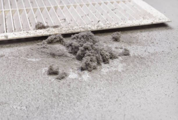 Best Professional Duct Cleaning Services  in West Salem, WI