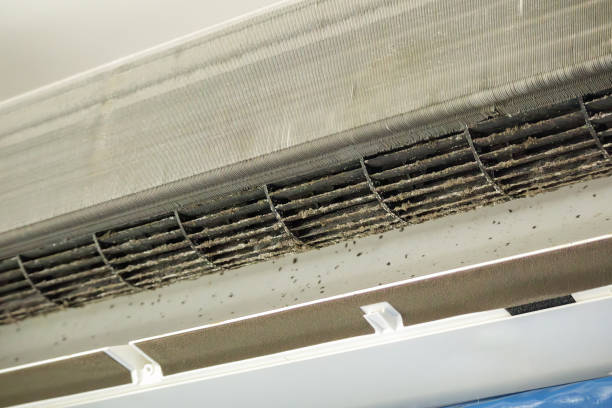 Best Air Vent Cleaning Services  in West Salem, WI